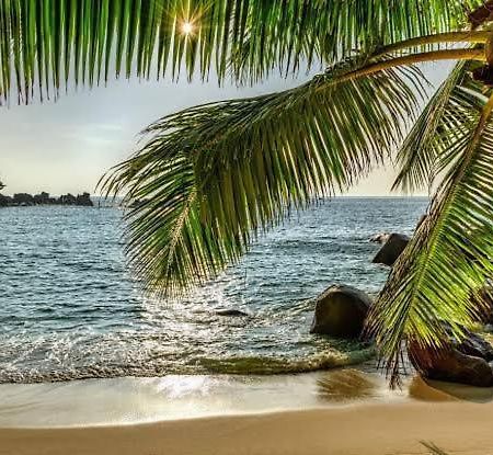 Baga Beach Palms Экстерьер фото